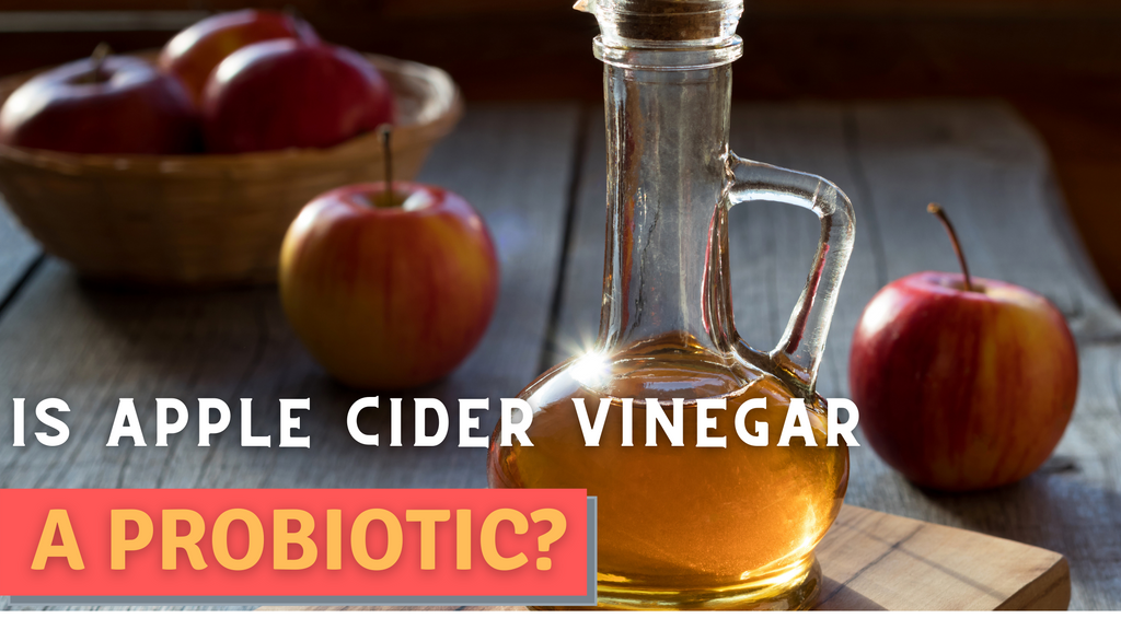 Is Apple Cider Vinegar a Probiotic